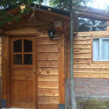 Cabanas Auquin Lemu 라고 푸엘로 외부 사진